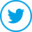 gallery/twitter-circular-button (4)